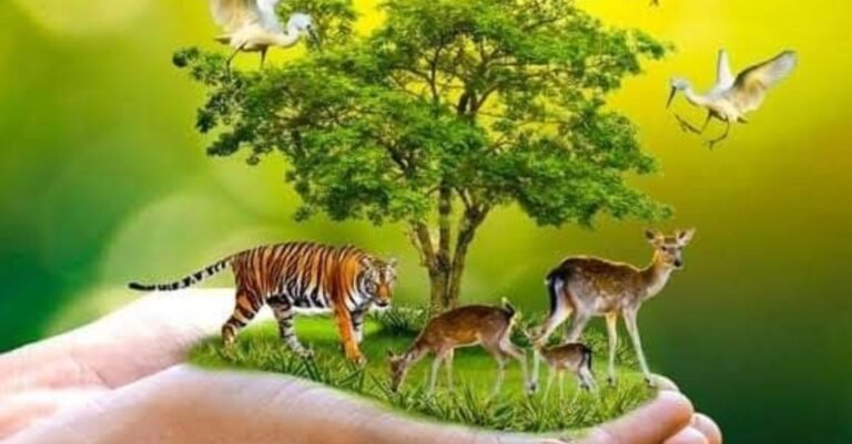 plants and animals details in hindi