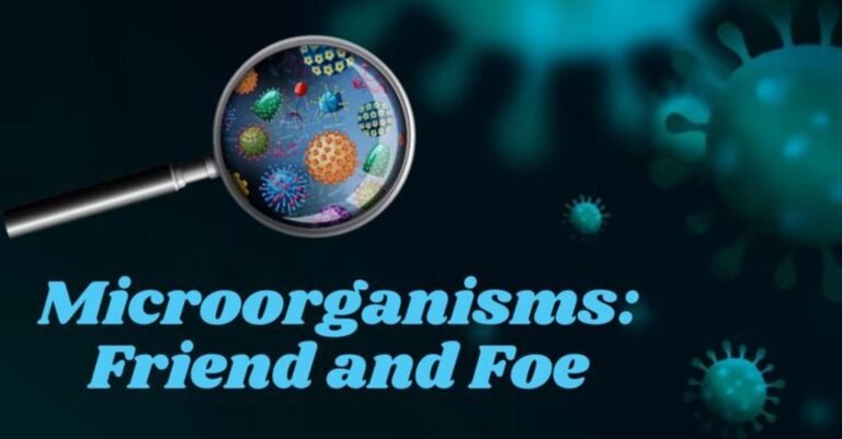 microorganisms friend and foe details in hindi